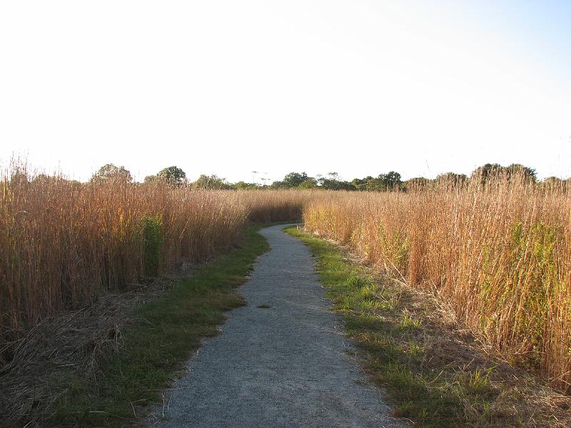 2008-10-11_Tiverton_Trustom 115.jpg